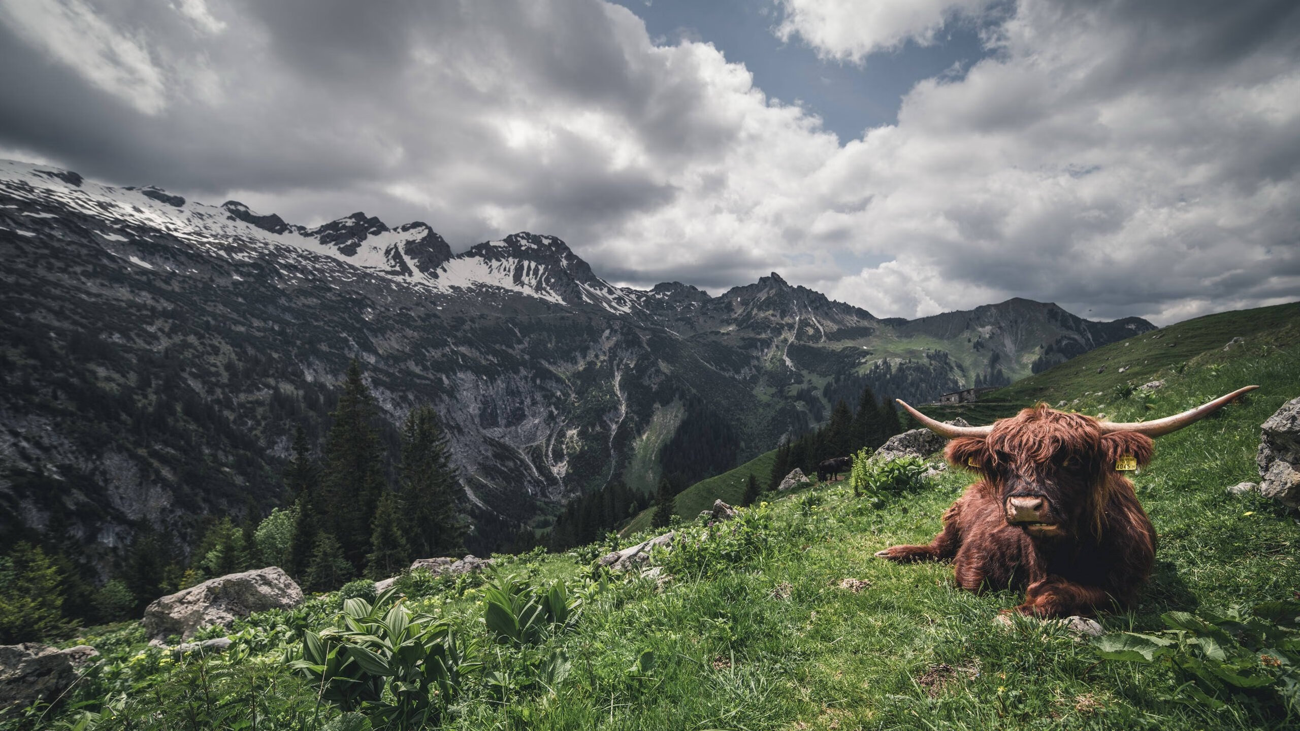 体育产业政策执行效果评估，体育产业政策概念