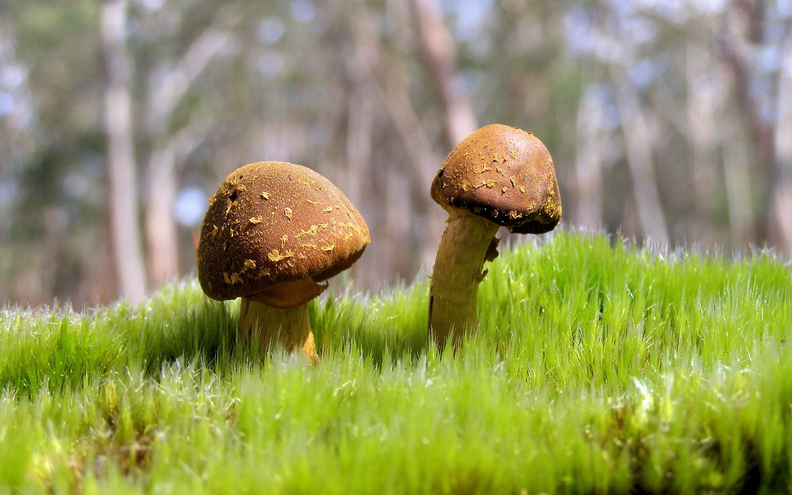 “简阳文体中心：羽毛球赛场上演速度与技巧的巅峰对决”