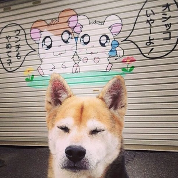 博卡青年三线断裂,难以连贯推进,博卡青年10号都有谁