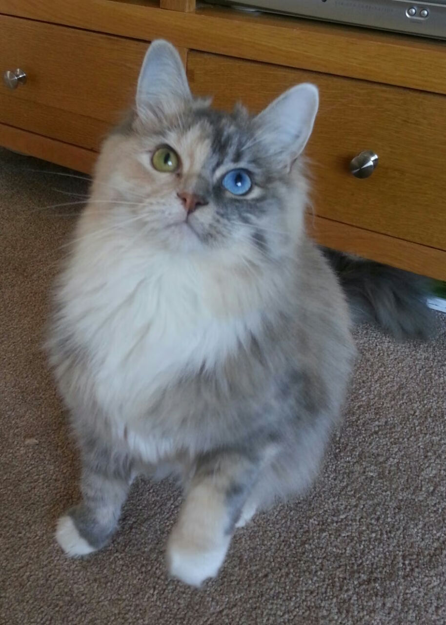 节奏对攻防转换速度的驱动作用是否可量化,节奏变化对音乐形象有何影响