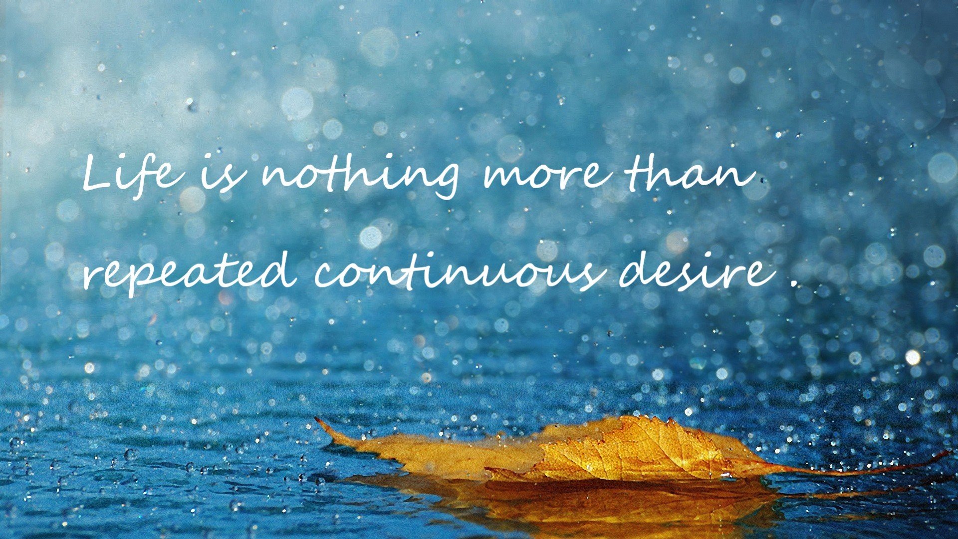 南非女子仰泳新星闪耀赛场,老婆右眼一直跳