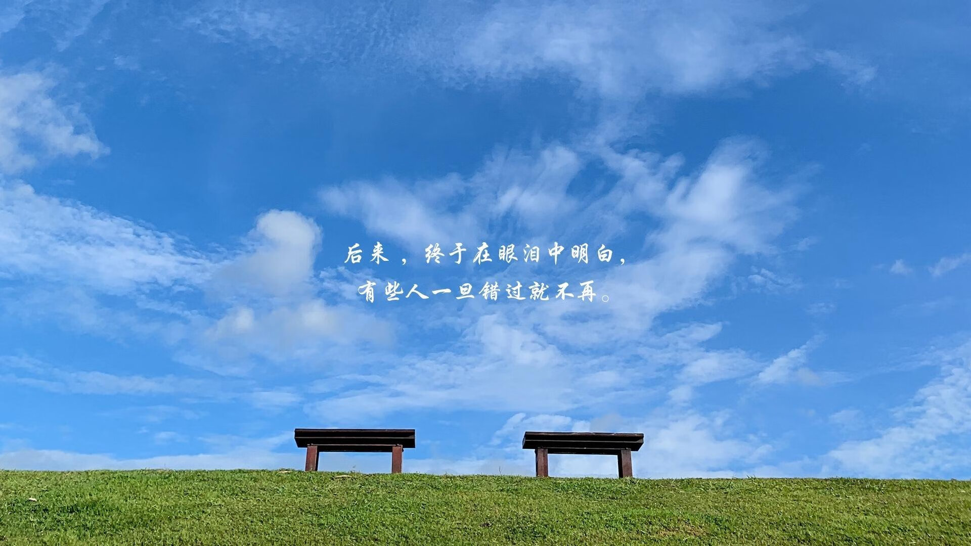 开云体育官网下载-国王阵容深度成西部黑马，国王队打法