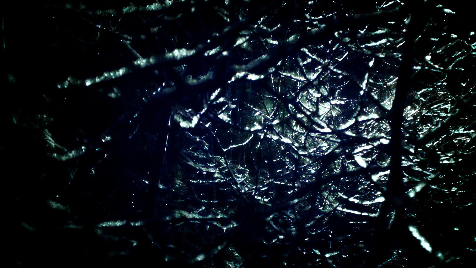 数字化裁判辅助系统在国际比赛中逐步推广应用