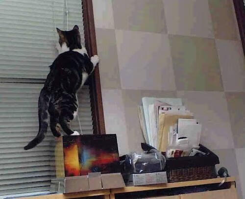 曼联主帅赛后称赞年轻球员表现,曼联最年轻的队长