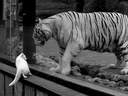 开云体育app下载-职业联赛季前训练营开放球迷参观提升粉丝参与感，职业联赛的要求