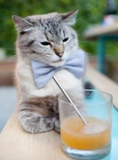 西甲破门瞬间：天王铁腰发威，精彩纷呈！，西甲抢断王